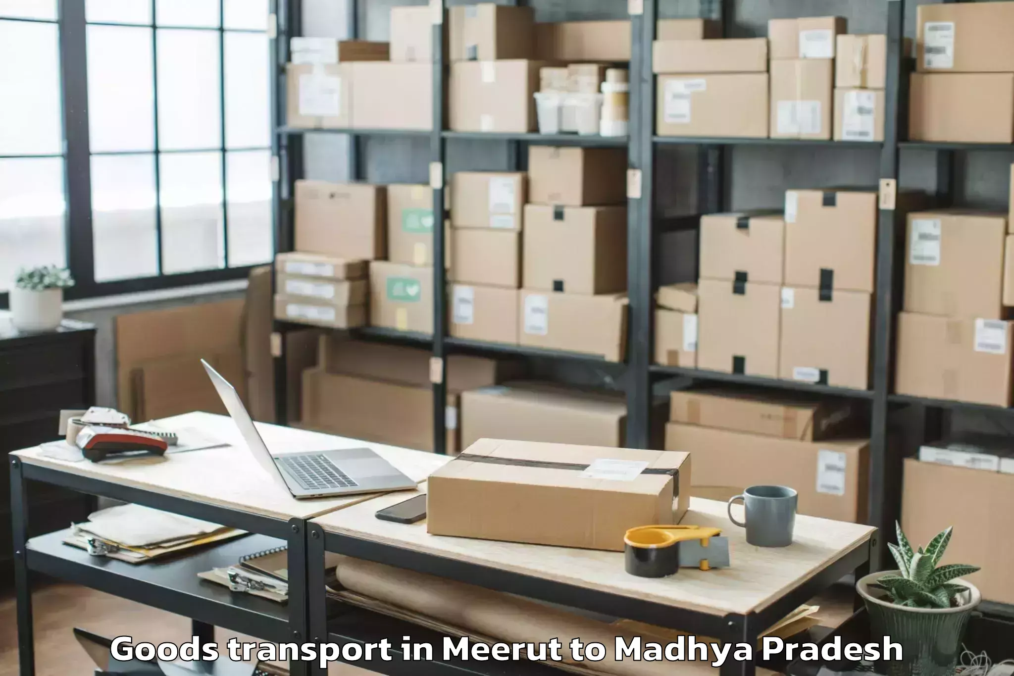 Book Meerut to Narwar Goods Transport